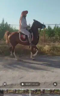مادیانی