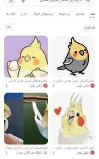 عروس هلندی پیدا شده