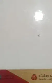 کارت پیداه شده
