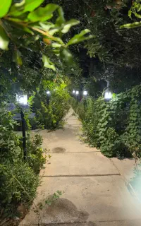 ادمین تولید محتوا
