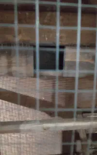 قفس‌چوبی‌