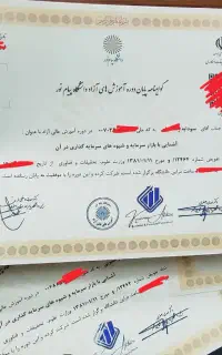 آموزش تضمینی درآمد دلاری با ارائه مدرک دانشگاهی