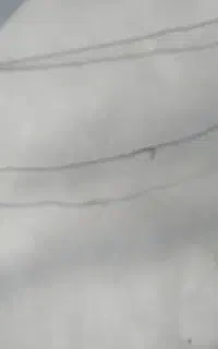 استا پلاستر