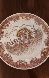 دیس چینی قدیمی قدمت ۶۰ ساله ژاپنی