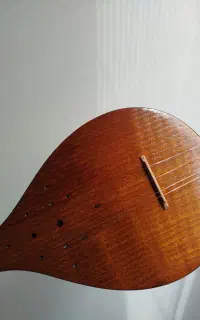 سه تار دیبا