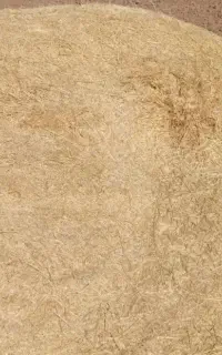 کاه گندم. ابی.
