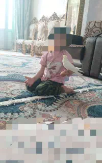 عروس هلندی اهلی