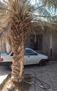 فروش
