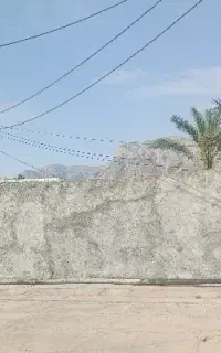 باغبانی کشاورزی