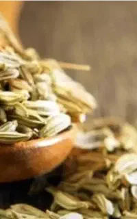 پیشنهاد برای آقایان