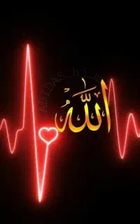 استخدام ادمین فوری