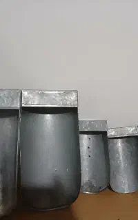 سر تاس