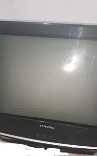 تلوزیون