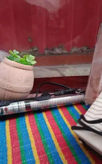 آکواریوم