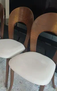 صندلی شرکتی برند پانه