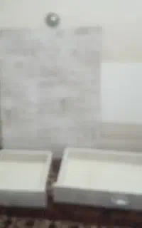 تخت نوجوان