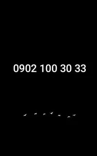 0902-100-30-33