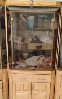 ویترین شیشه ای