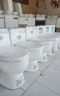 توالت فرنگی (آماتیس.آتریتا) خروجی10