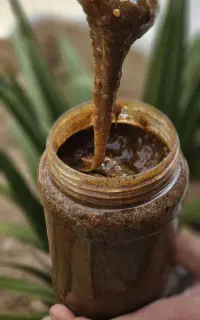 سلامتی رو با معجون ما تجربه کنید
