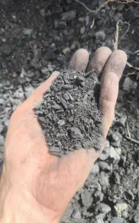 خاک ذغال مخصوص حبه ای چینی صنعتی