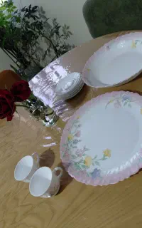 ظروف پذیرایی