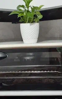 توستر