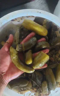 خیارشور ساندویچی