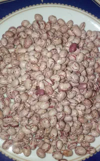 لوبیای استان فارس اقلید سده .پزو .به شرط