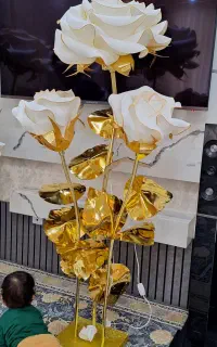 سه شاخه بدون اباژور