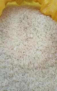 برنج هاشمی ۳۶۰