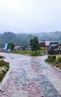 فروشنده خانم