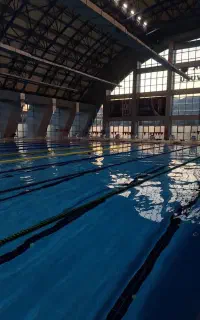 آموزش شنا - مربی گری و ناجی گری