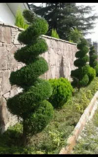 خدمات باغبانی پاشا