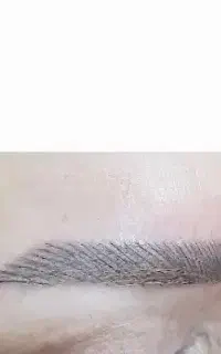 میکرو ابرو. قیمت استثنایی. به مدت محدود.