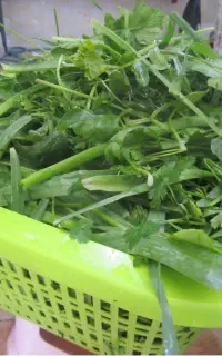 پاک کردن سبزی خورشتی خوردن