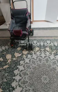 کالسکه مدل ارابه مشکی و طوسی