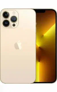 iPhone 13Promax Gold