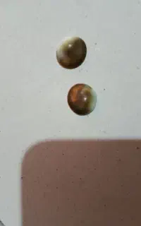 با تست