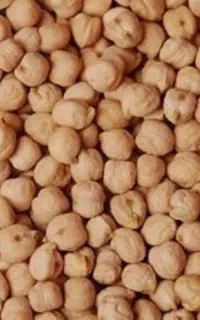 فروش نخود تازه