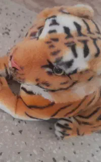 عروسک