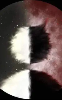 رزرو اتاق فرار دعوت