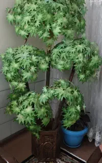 درختچه مصنوعی وگلدان مصنوعی