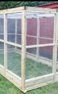 قفس انواع پرندگان