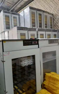 دستگاه جوجه کشی)11 با دوامـ  با کیــفییت&