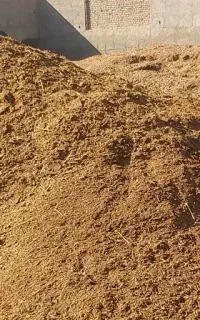 کود گوسفندی