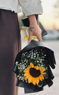 ادمین اینستاگرام هستم