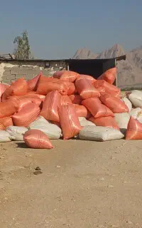 فروش کاه سفید