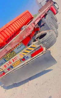 کفی ماموت