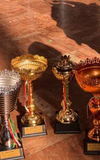 آموزش واستعدادیابی شناوشنای هنری  بدون رده سنی